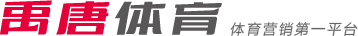 足球生涯的